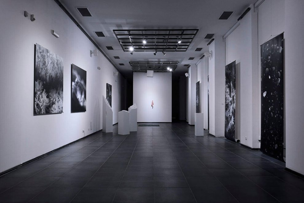 2460376, Imaginarium Gallery / Łódź, Poland