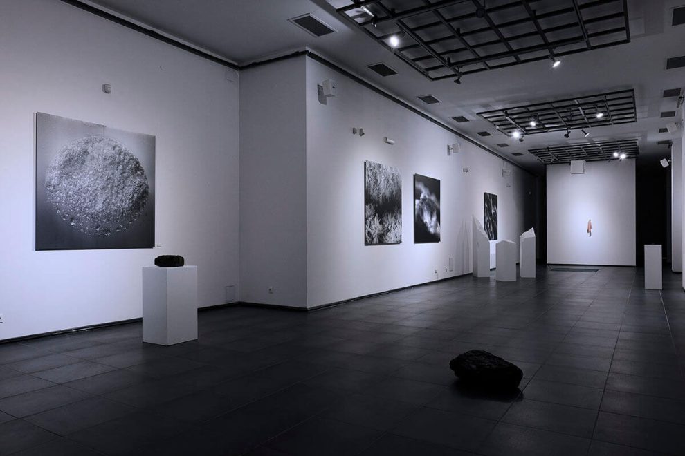 2460376, Imaginarium Gallery / Łódź, Poland