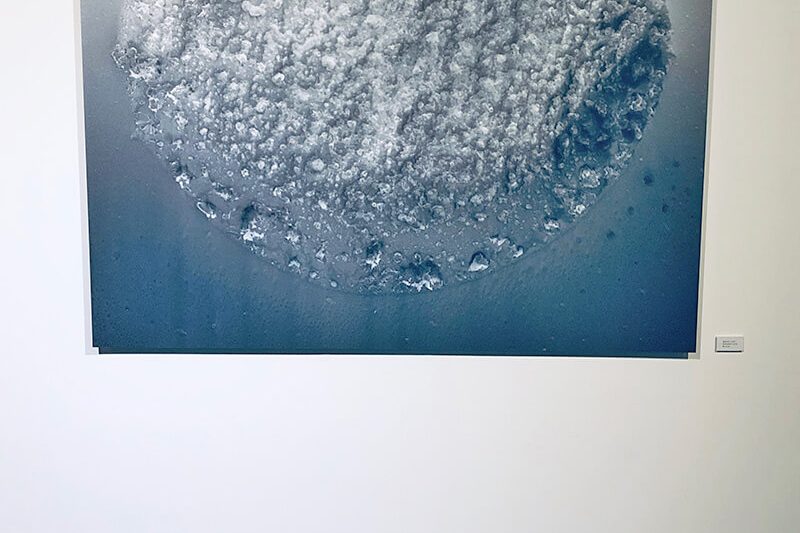 2460376, Imaginarium Gallery / Łódź, Poland