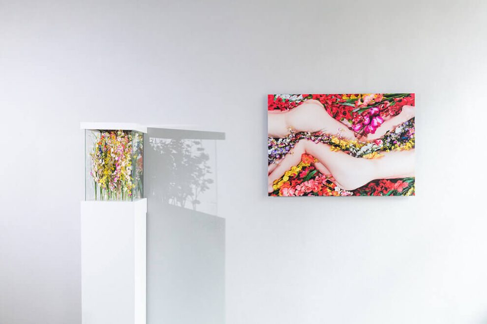 Le factice, Skałeczna^5 Gallery / Kraków, Poland