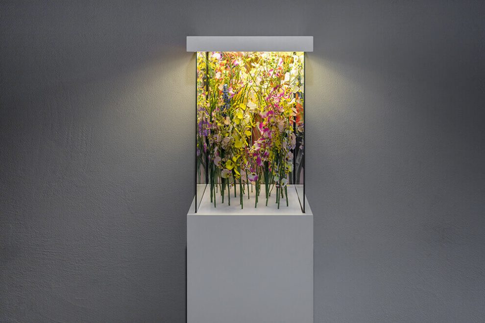 Le factice, Skałeczna^5 Gallery / Kraków, Poland